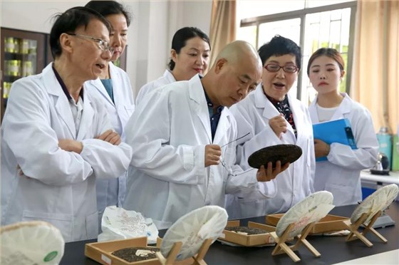 中吉号纯麻黑 中吉号纯麻黑