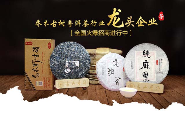 乔木普洱茶招商